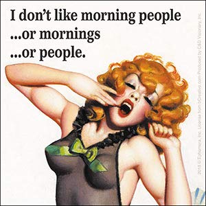 I Don't Like Mornings DECAL - Ephemera Exclusive Artwork, Durable DECAL, 4" x 4"