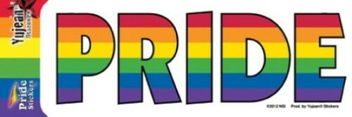 NSI - Rainbow Pride - Sticker / Decal