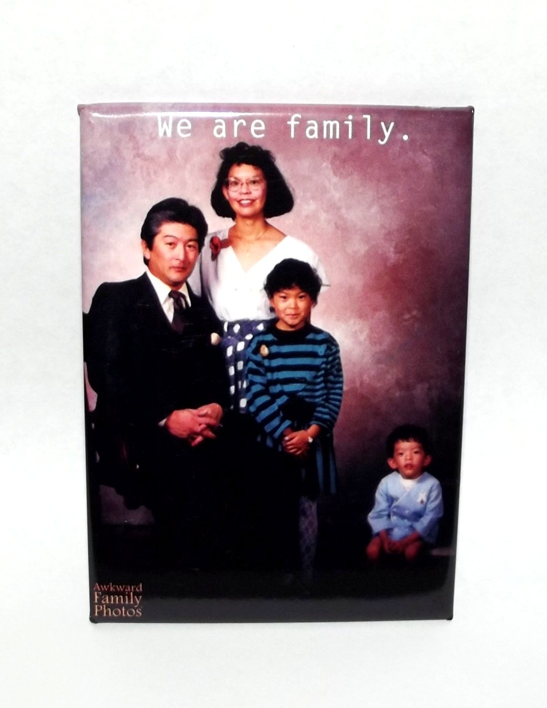 Awkward Family Photo: We Are Family Magnet-1 piece