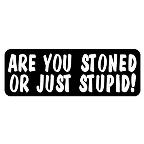 Are You Stoned Or Just Stupid Helmet Sticker - Novelty Artwork Decal, 4" x 1"