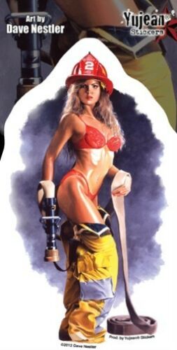 Dave Nestler - Firefighter - Sticker / Decal