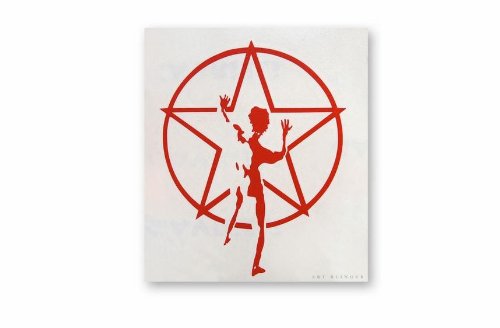 CandD Visionary Social Distortion Rub-On Sticker White