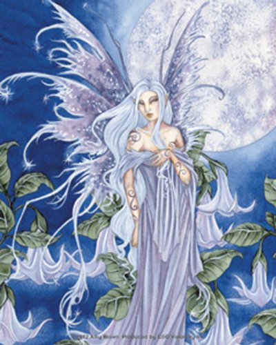 Licenses Products Amy Brown Night Blossoms Sticker